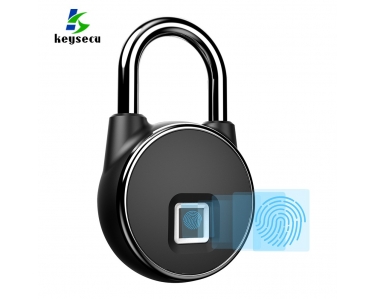 Smart Keyless Fingerprint Lock (K-P22)